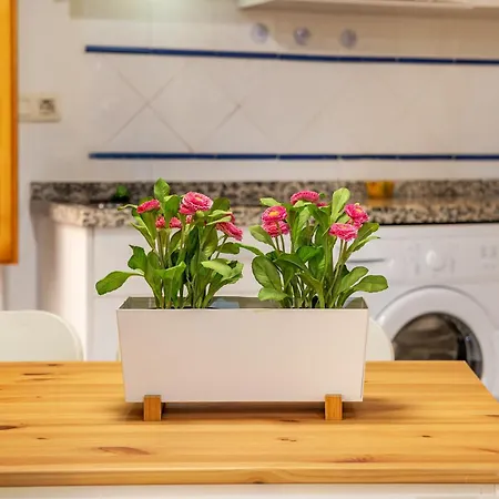 Luxury San Matias Apartment Granada